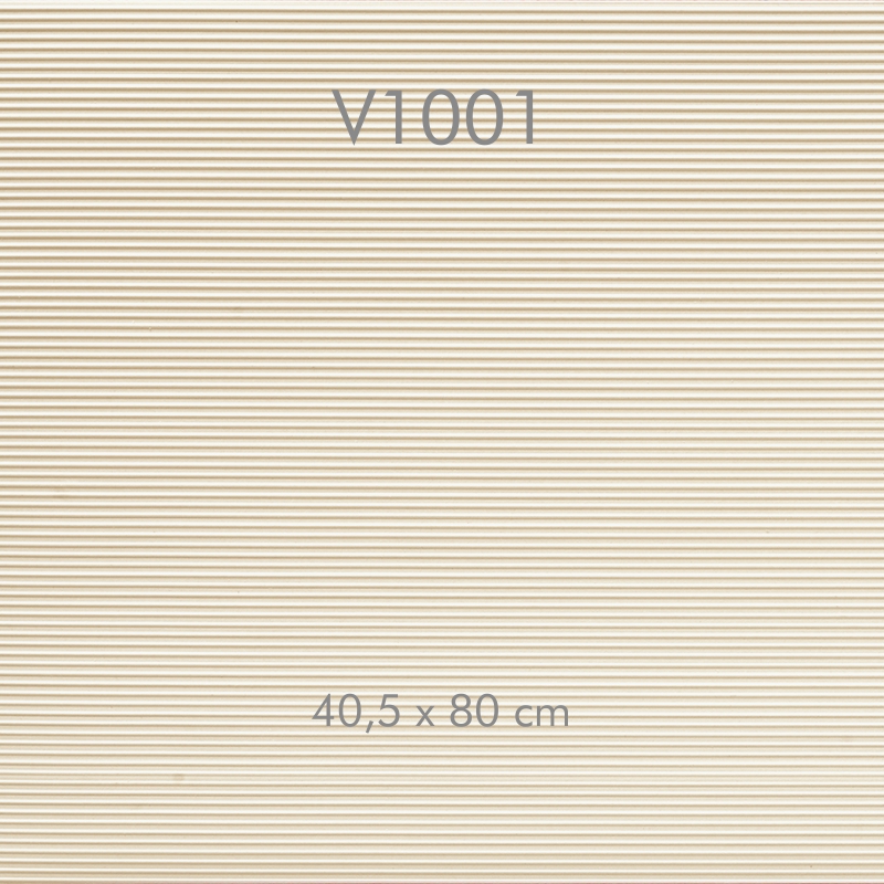 V1001 800x800