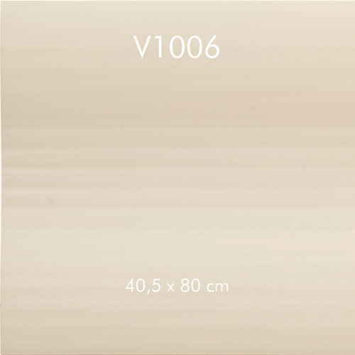 V1006 800x800