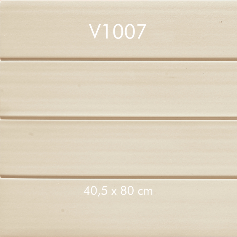 V1007 800x800